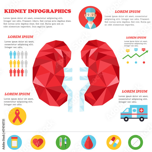 Infographic poster with kidney illustration and medical icons.