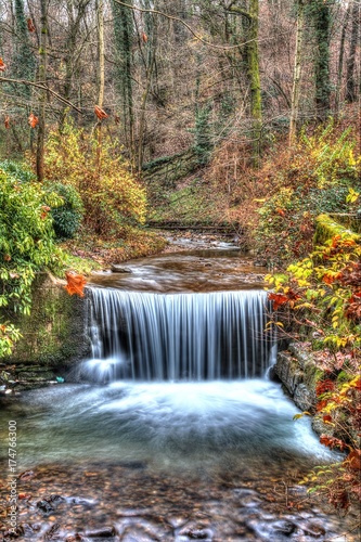 pace autunnale  torrente in piena in un bosco autunnale