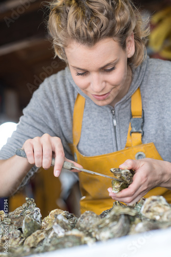 female worker opening oysters photo