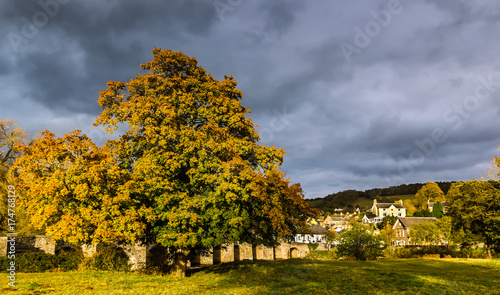 Fototapeta Naklejka Na Ścianę i Meble -  Tree displaying fall colors next to a bridge and small village