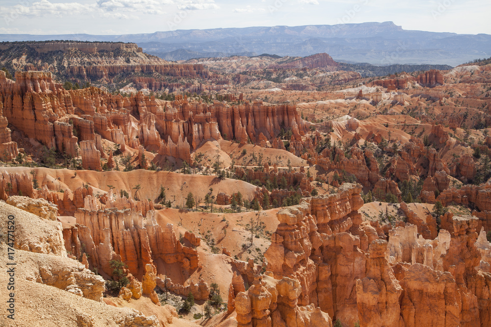 View of the magical golden hoodoos of Bryce Canyon National Park