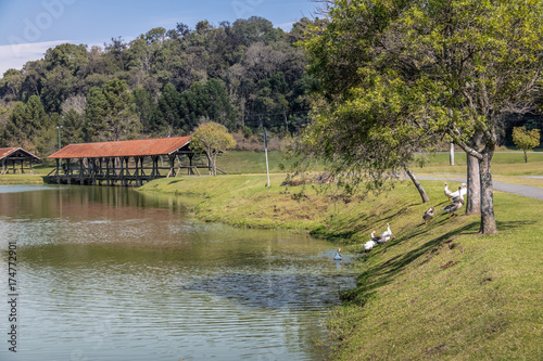 Tingui Park - Curitiba, Parana, Brazil photo