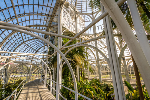 Interior of Greenhouse at Curitiba Botanical Garden - Curitiba  Parana  Brazil