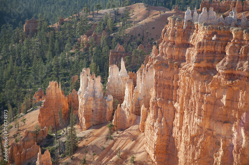 View of the magical golden hoodoos of Bryce Canyon National Park © Anne Lindgren