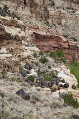 Red slick rock canyons and mesa abound in the beautiful landscape of Capitol Reef National Park in Utah