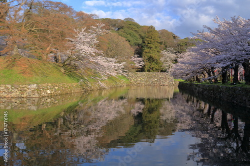 彦根城お堀の風景 © Zen