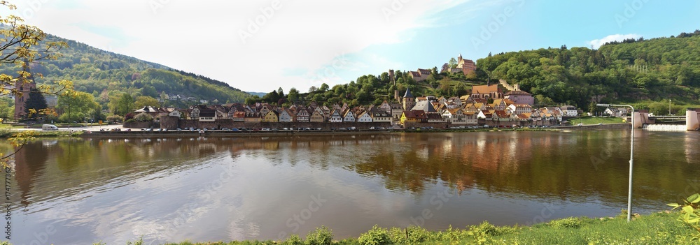 Panoramic view of the town with Hirschhorn Castle, Marktkirche Church, the Carmelite Monastery and the Neckar River, Hirschhorn, Neckartal-Odenwald Nature Reserve, Hesse, Germany, Europe, PublicGround, Europe