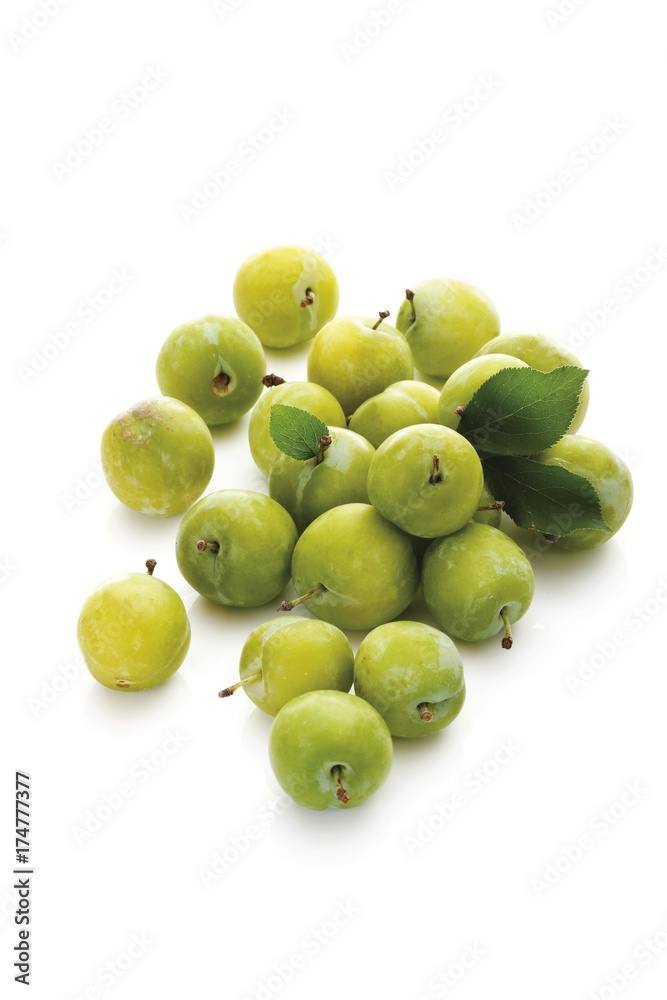 Greengages (Prunus italica) with small leaves Greengages (Prunus italica) with small leaves