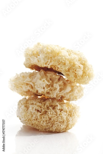 Stacked Sparassis or Cauliflower Mushrooms photo