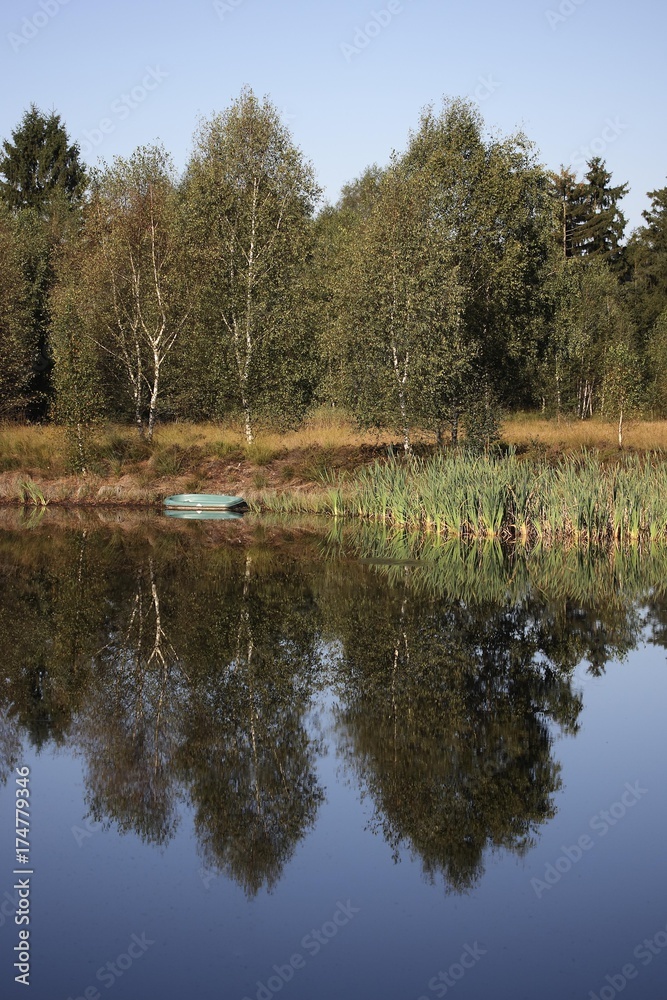 Reed landscape with pond in Upper Swabia, Baden-Wuerttemberg, Germany, Europe Reed landscape with pond in Upper Swabia, Baden-Wuerttemberg, Germany, Europe