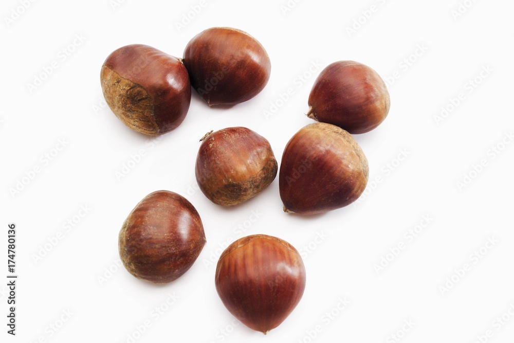 Sweet Chestnuts or Marrons (Castanea sativa) Sweet Chestnuts or Marrons (Castanea sativa)
