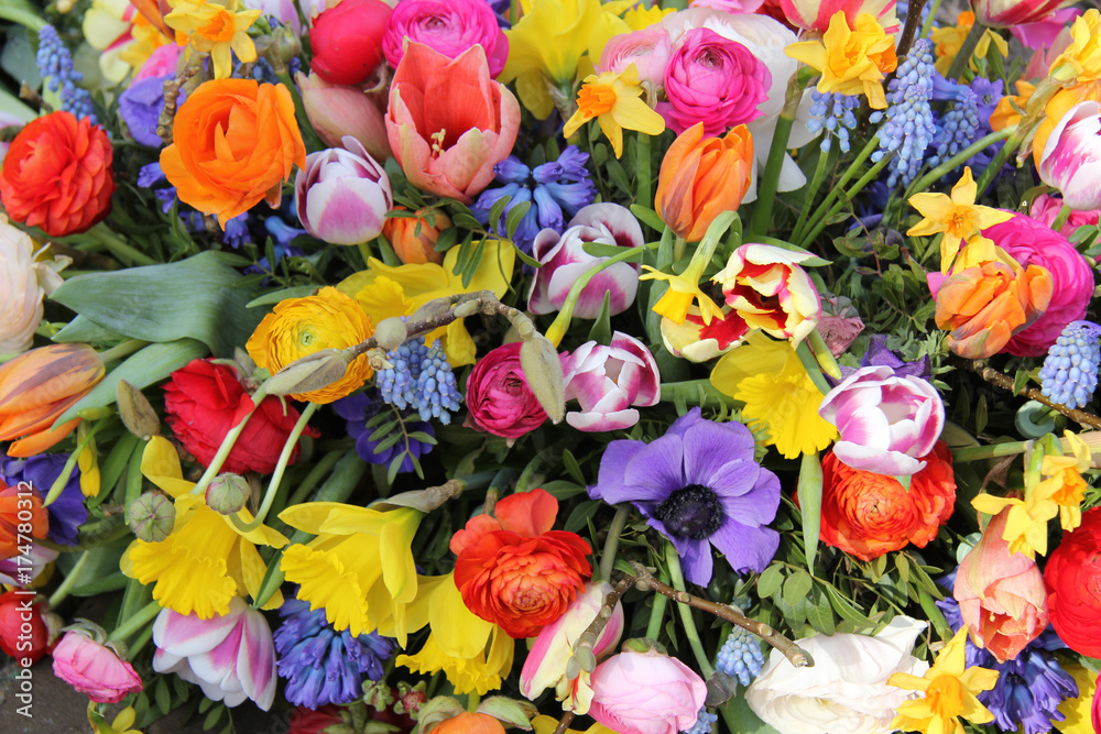 Obraz premium Spring flowers in bright colors