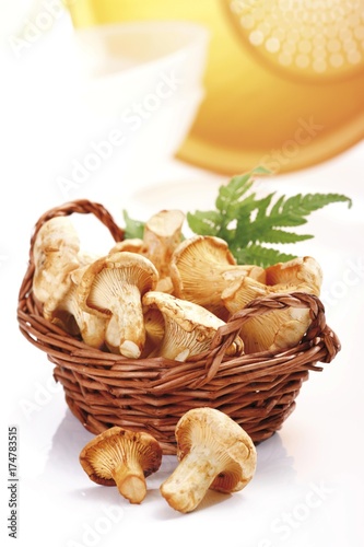 Chanterelle mushrooms with fern leaves in a small basket