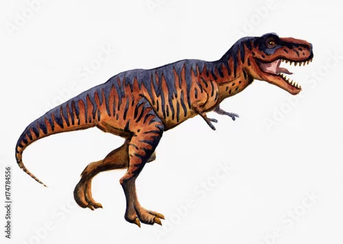 Naklejka na ścianę Akwarela, rysunek „Tyrannosaurus Rex”
