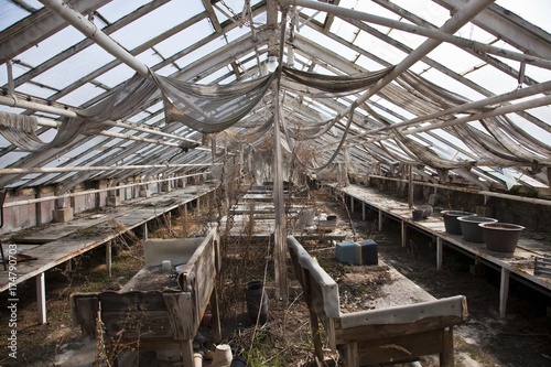 Old derelict greenhouse