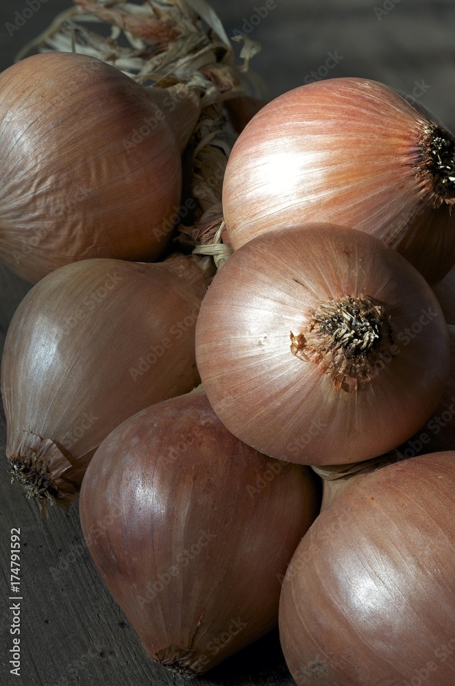 Onions from Roscoff, Brittany, known for their mild taste Onions from Roscoff, Brittany, known for their mild taste