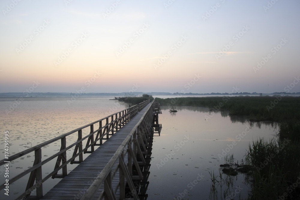 Federsee lake, morning mood, Federsee lake area, nature reserve near Bad Buchau, Biberach district, Upper Swabia, Baden-Wuerttemberg, Germany, Europe Federsee lake, morning mood, Federsee lake area, nature reserve near Bad Buchau, Biberach district, Upper Swabia, Baden-Wuerttemberg, Germany, Europe