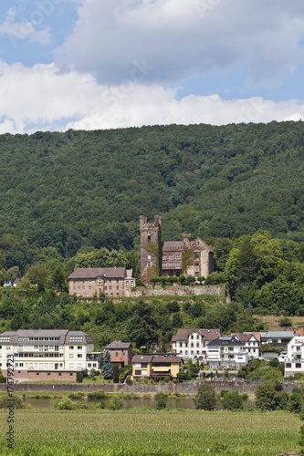 Mittelburg Castle, Neckarsteinach, Vierburgeneck, Neckartal-Odenwald Nature Park, Hesse, Germany, Europe, PublicGround, Europe