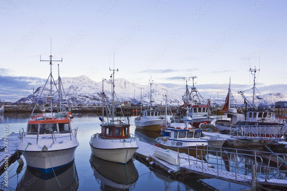 Boats in the fishing port of Tromvik, Norway, Europe