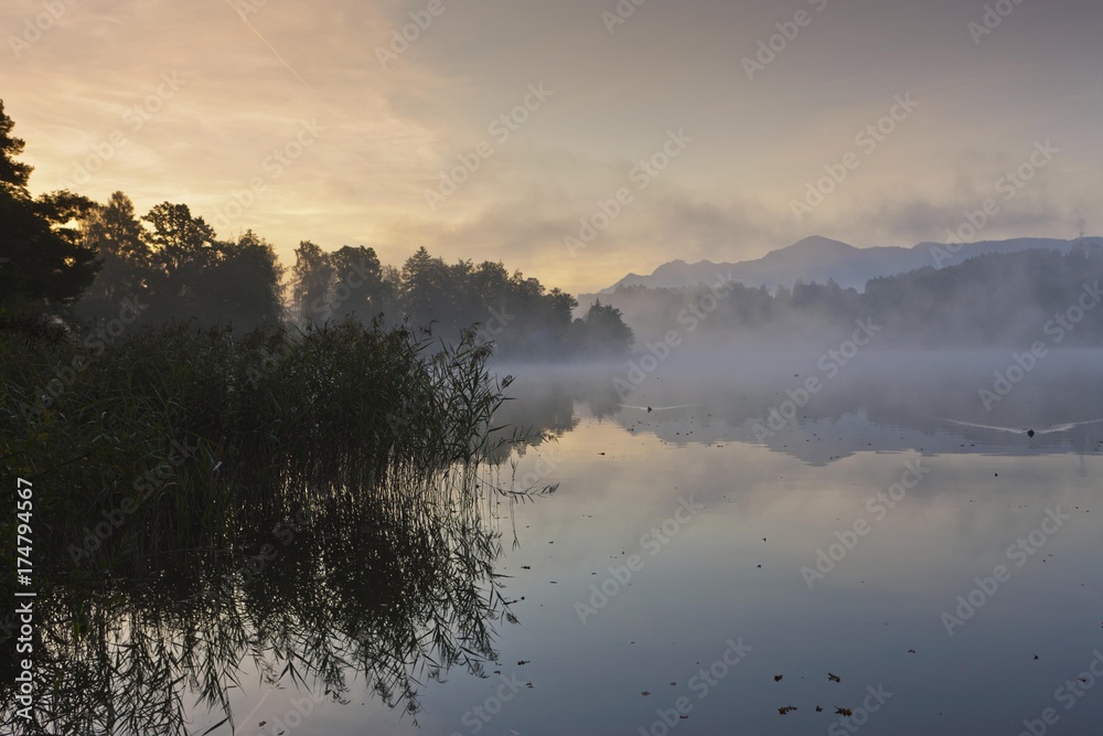 Fog on Lake Staffelsee with the island of Woerth near Seehausen, Murnau, Upper Bavaria, Bavaria, Germany, Europe, PublicGround, Europe