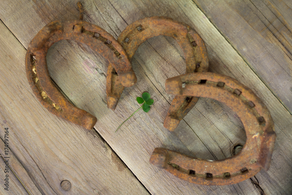 Lucky four-leaf clover and three horseshoes on wooden background Lucky four-leaf clover and three horseshoes on wooden background