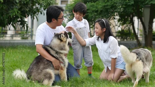 Happy Asian family playing with siberian husky dog in the garden1 photo