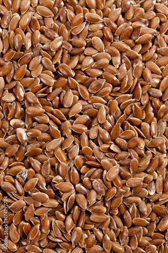 Linseed or Flax (Linum usitatissimum) seeds