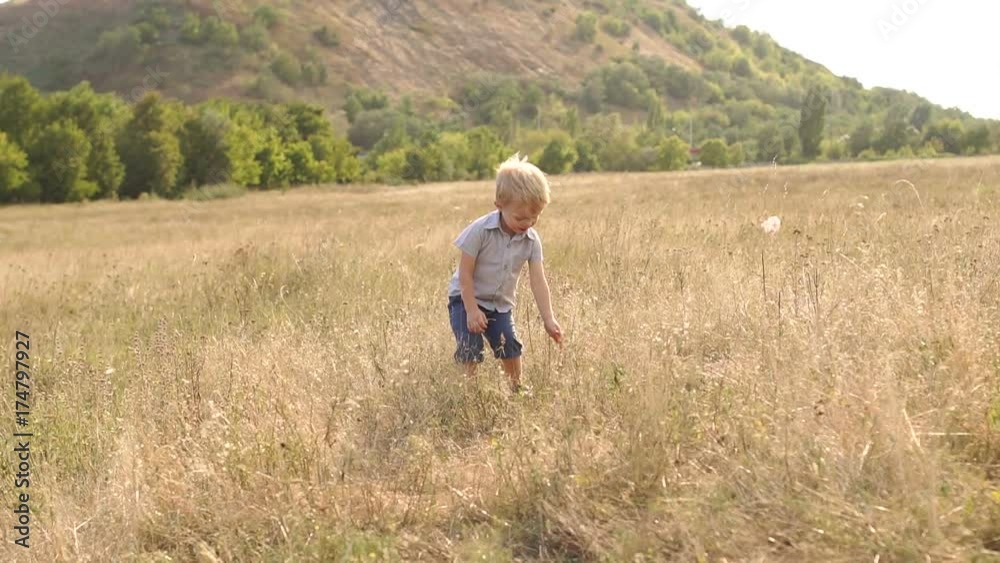 Little happy boy running through a dry field and plucks the dry grass. Little happy boy running through a dry field and plucks the dry grass.