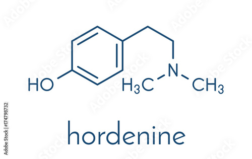 Hordenine (dimethyltyramine) stimulant molecule, chemical structure.  Skeletal formula.
