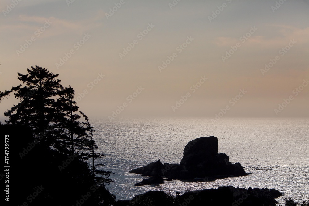 Rocks at Indian Beach, Oregon, USA, North America