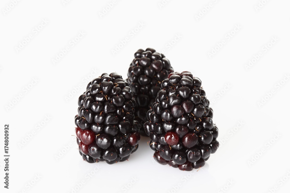Three blackberries (Rubus sectio Rubus) Three blackberries (Rubus sectio Rubus)