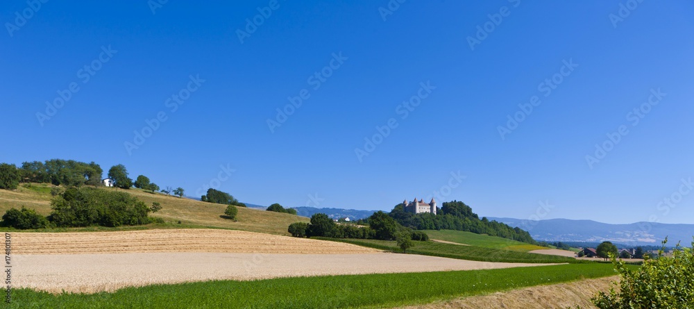 Obraz premium Chateau de Champvent, Canton of Vaud, Switzerland, Europe
