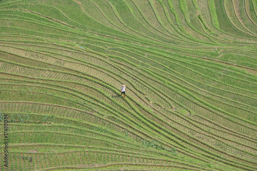 Birdseye view of a farmer in Longji Rice terraces - Guilin, China