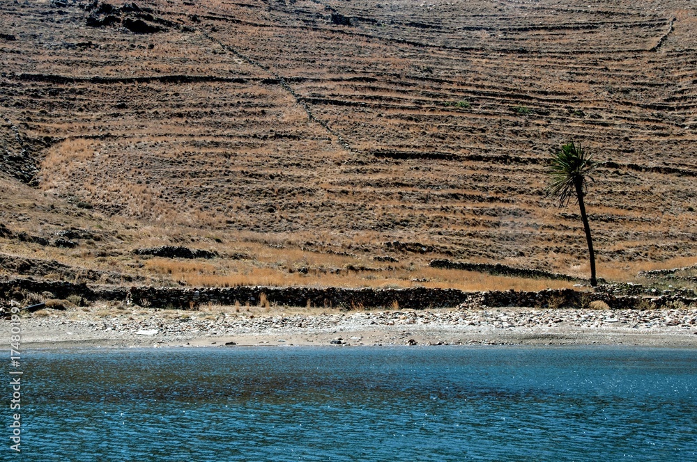 A beach on the island of Serifos. Arid landscape with a single palm tree, contrast a perfectly blue sea.