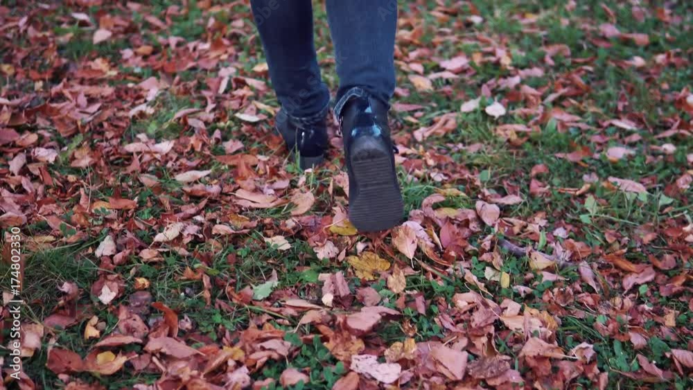 young woman walking in the autumn Park. female feet closeup. girl walking on fallen leaves. young woman walking in the autumn Park. female feet closeup. girl walking on fallen leaves.