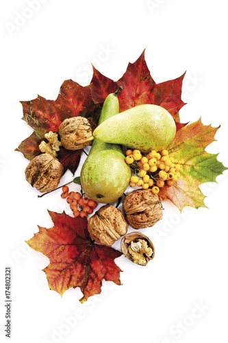 Autumn foliage, maple leaves, pears and walnuts