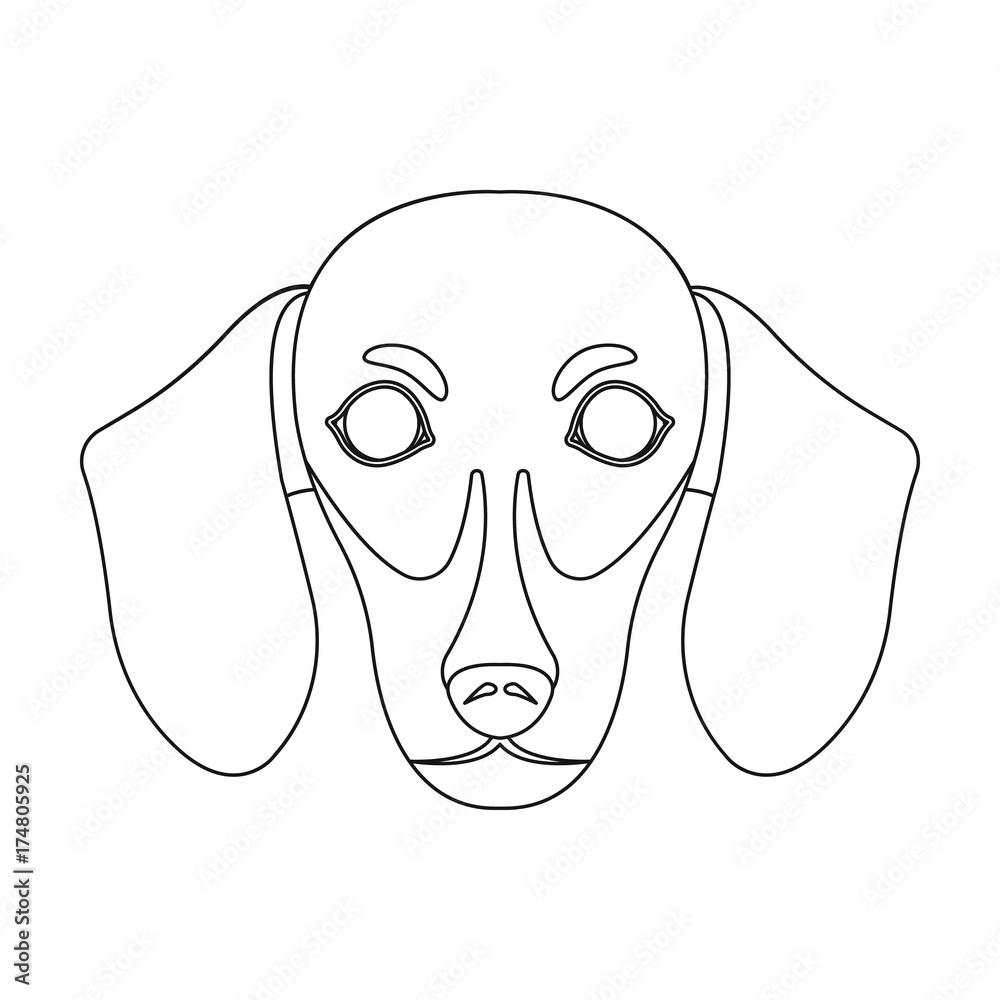 dachshund muzzle