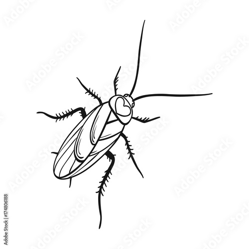 A mustachioed cockroach. Arthropod insect, cockroach single icon in outline style vector symbol stock isometric illustration web.