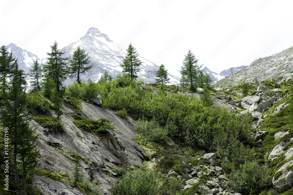 alpine landscape