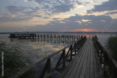 Federsee lake  Federsee lake area  nature reserve  Landkreis Biberach district  Upper Swabia  Baden-Wuerttemberg  Germany  Europe