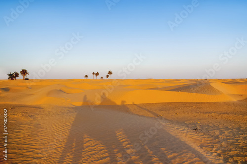 Tourists and bedouins on camels meet sunset in Sahara desert. Beautiful landscape with sand dunes and clear blue sky. Tunisia.
