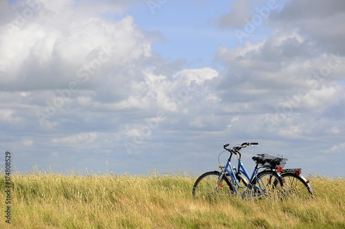 Canvas Print Two bicycles on the salt marshes of Hamburger Hallig, North Frisia, Schleswig-Ho