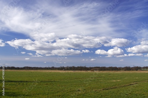 Landscape with white clouds on blue sky, green meadows in spring, nature reserve Oberalsterniederung lowland, Schleswig-Holstein, Germany, Europe