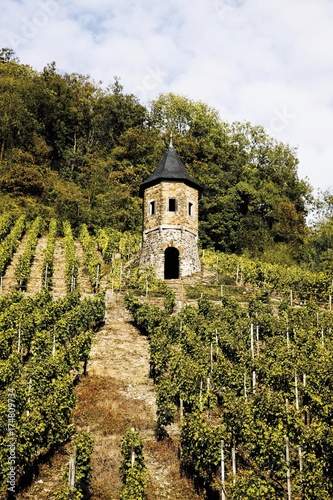 Guardtower in a vineyard on the southern slopes of Drachenfels mountain in autumn between Koenigswinter and Bad Honnef-Rhoendorf, North Rhine-Westphalia, Germany, Europe photo