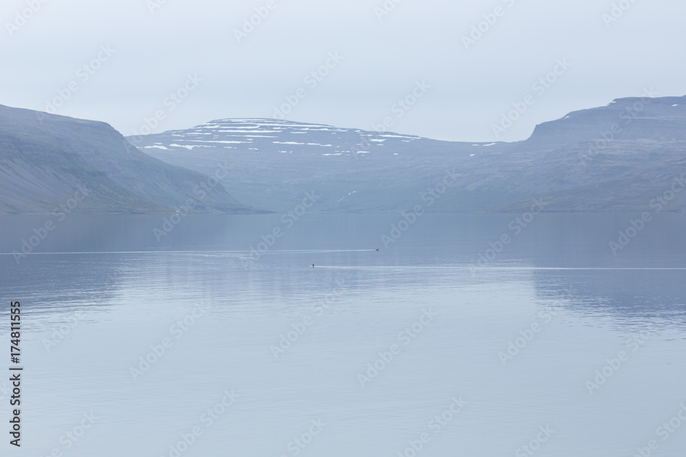 Fjord in Iceland