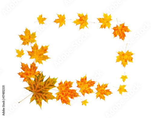 Frame of yellow and orange beautiful autumnal maple leaves on a white background with space for text. Top view, flat lay.