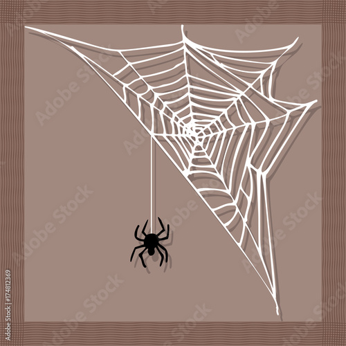 Spider web silhouette arachnid fear graphic flat scary animal design nature insect danger horror halloween vector icon.