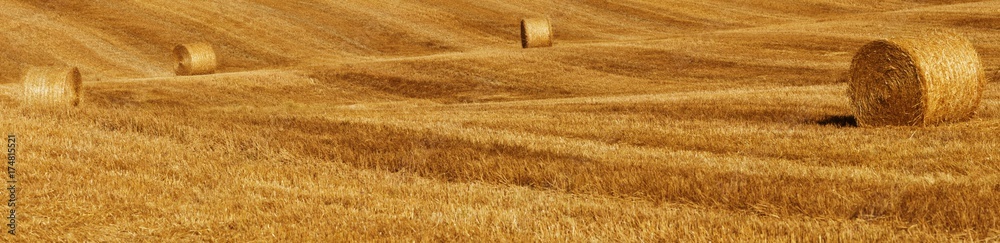 Fototapeta premium Bales of straw on a harvested field, Tuscany, Italy, Europe