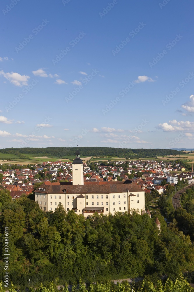 View towards Schloss Horneck Castle, Castle of the Teutonic Order, and Gundelsheim, Odenwald, Baden-Wuerttemberg, Germany, Europe, PublicGround, Europe