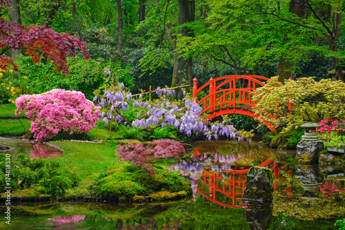 Canvas Print Japanese garden, Park Clingendael, The Hague, Netherlands